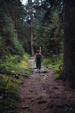 Sırt çantalı bir kadın, bir yürüyüşçü, sık bir ormanın ortasında taştan bir patika boyunca yürüyor. seyahat konsepti. Shdugra Şelalesi yolu. Kafkas Dağı Gürcistan, Svaneti Bölgesi. Dikey fotoğraf