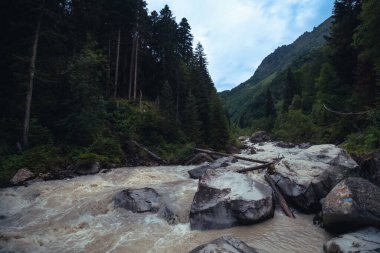 Yeşil sık ormanda bir kadın gezginle yürüyüş parkurunda asma köprü. Georgia Dolra nehrinin üzerinde tahta köprüde duran kadın turist.