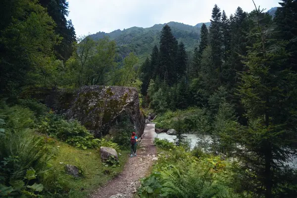 Shdugra Şelalesi 'ne doğru bir kadın yolcuyla birlikte yeşil sık ormanın içinden yürüyüş yolu. Turist bir kadın, Georgia 'daki azgın Dolra nehrinin üzerindeki ahşap köprüye gidiyor.