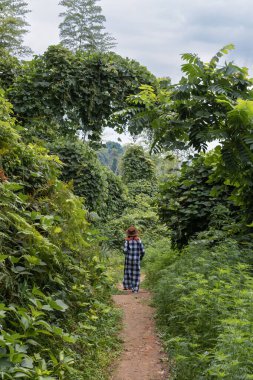 Şapkalı genç bir kadın uzun yeşil çalıların, çalıların, ormanların arasında yürüyor. Yaz günü, turizm ve seyahat. Hydrangea plajına giden yol, dikey fotoğraf, Tsikhisdziri, Georgia