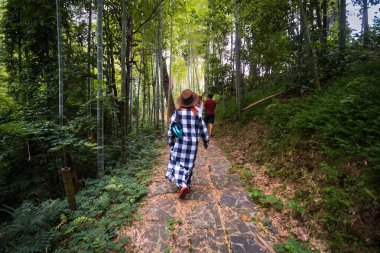 Geniş şapkalı bir kadın bambu ve yabani üzümlerden oluşan kıyı çalılarının arasında yürüyor. Vahşi Ortanca plajına giden yol. Tsikhisdziri Georgia