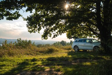 Açık bagajı olan büyük beyaz bir SUV araba. Şehrin dışında açık hava eğlencesi. Geniş bir tacı olan meşe ağacının gölgesinde güzel bir yer. Yukarıdan bak. Yaz günü, gün batımı
