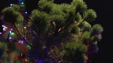 Doğal kaynakların korunması. Bonsai Noel ağacı ve arka plandaki Noel ağacı gibi elektro gitar süslemesi. Noel 'de müzik stüdyosunda. Rock 'n' roll, blues ve jazz elektro gitar ve amfi.