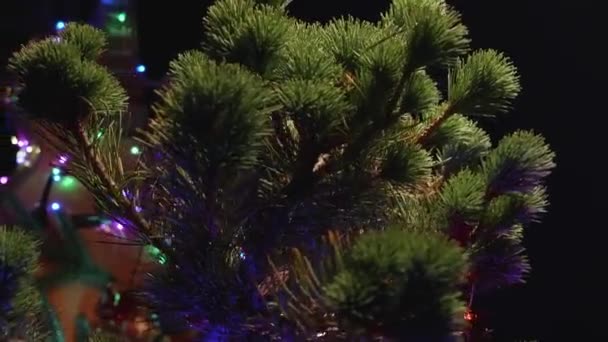 自然资源的转让 盆景圣诞树和电吉他装饰就像背景上的圣诞树 圣诞节在音乐工作室 蓝调和爵士乐 电吉他和 — 图库视频影像