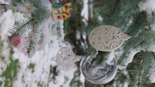 2024年的象征 在公园里装饰了一棵被雪覆盖的圣诞树 圣诞快乐 新年快乐 自然的 鲜活的蓝色云杉装饰新年玩具 — 图库视频影像