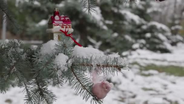 Hóval Borított Karácsonyfát Díszített Parkban Boldog Karácsonyt Boldog Évet Természetes — Stock videók