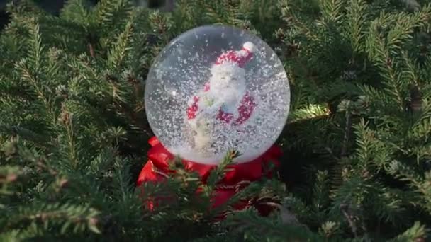圣诞老人和圣诞礼物还有雪球里的熊在咖啡馆里雪顶 玻璃球 圣诞和新年降雪球 — 图库视频影像