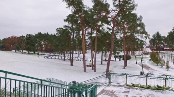 Tepeleri Yüksek Çam Ağaçları Olan Karla Kaplı Güzel Bir Park — Stok video
