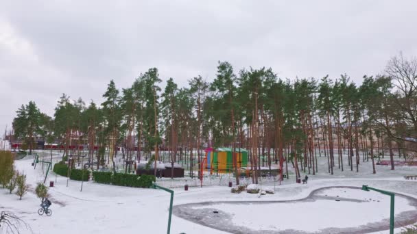 Piękny Pokryty Śniegiem Park Wzgórzami Wysokimi Sosnami Plac Zabaw Dla — Wideo stockowe