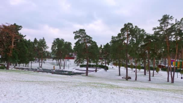 Tepeleri Yüksek Çam Ağaçları Olan Karla Kaplı Güzel Bir Park — Stok video