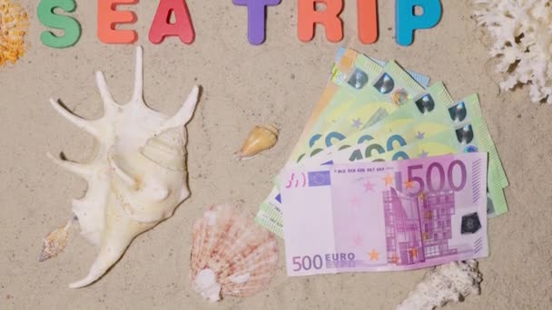 Dinheiro Para Viagem Férias Descanso Férias Sonho Viagem Umas Merecidas — Vídeo de Stock