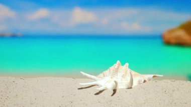 Uzayı kopyala Güzel sahil plajı. Zengin tropik tatil beldesinde tatil. Okyanustaki gök mavisi su, deniz kıyısındaki tatil köyü. Yaz tatili. Kumda güzel kabuklar. Mavi gökyüzü.