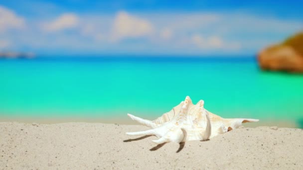 Begrepen Ruimte Prachtig Strand Aan Zee Vakantie Een Rijk Tropisch — Stockvideo