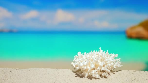Odbiór Piękna Plaża Wybrzeżu Wakacje Bogatym Tropikalnym Kurorcie Piękny Koralowiec — Wideo stockowe