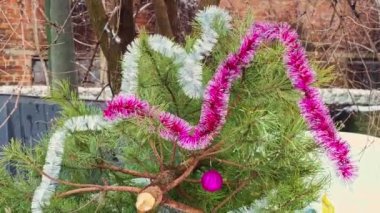 Noel ağacı yeni yıl tatilinden sonra çöplükte duruyor. Ormanları, çam ağaçlarını kurtarın. Gezegeni kurtar. Ormanların yok olması küresel ısınmayı ve iklim değişikliklerini hızlandırır. Ekoloji sorumluluğu.