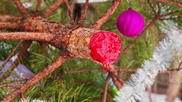 クリスマスツリーは 新年の休日の後にゴミ捨て場で出血します 森林を守る 松の木 惑星を救った 森林破壊は地球温暖化と気候変動を加速させている エコロジーの責任 — ストック動画