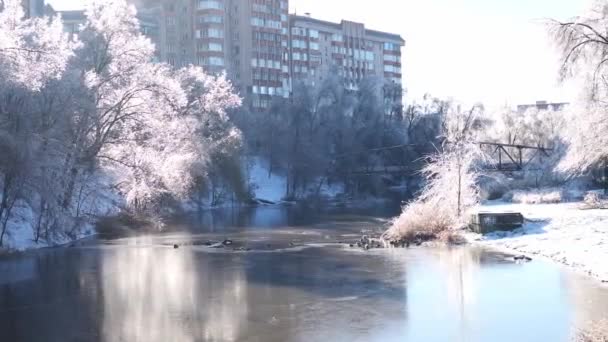Wintersprookjesachtig Landschap Besneeuwd Park Ijzige Rivier Onder Blauwe Hemel Een — Stockvideo