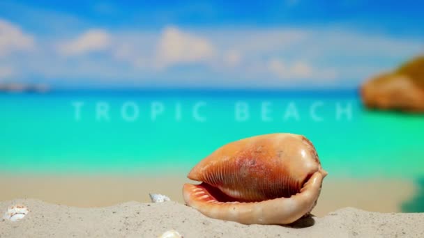 Тропічний Пляж Літо Багатому Тропічному Курорті Гарний Пляж Узбережжі Моря — стокове відео