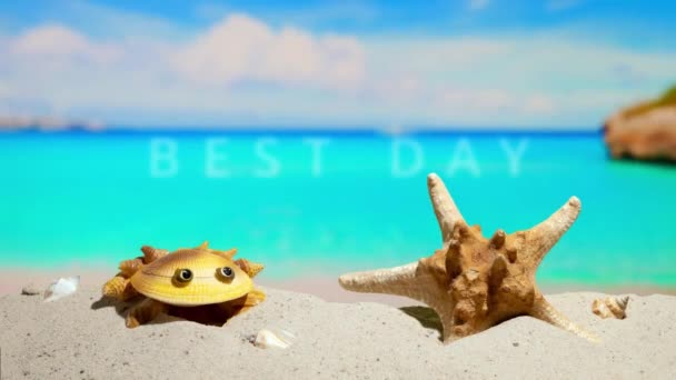 最好的一天 在美丽的海滨海滩上放松一下 碧绿的海水 海滨度假胜地 蓝天热带旅游胜地沙滩上的螃蟹和海星 — 图库视频影像