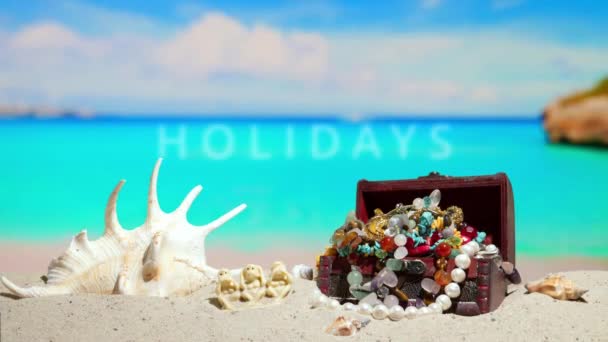 休日は休憩する 3匹のサル 美しい貝と砂の上に宝石が付いている胸 美しい海岸ビーチ 海岸リゾートの Azure 夏休みについて ブルースカイ 豊かなトロピカルリゾート — ストック動画
