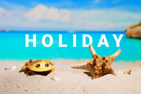 Holidays on rich tropical resort. Beautiful sea coast beach. Azure water on the ocean, sea coast resort. Summer holidays. Beautiful shells on sand. Blue sky.