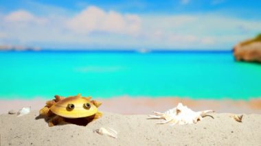 Uzayı kopyala Deniz kıyısındaki güzel sahilde rahatla. Okyanustaki gök mavisi su, deniz kıyısındaki tatil köyü. Yaz tatili. Mavi gökyüzü. Tropik tatil beldesinde kumda yengeç ve kabuk. 
