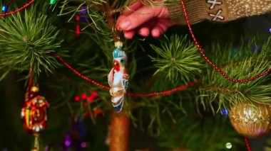Papağan. Noel ağacını süsleyen bir adam, yılbaşı süveteri giyen bir adam. Yeni yıl ve mutlu Noeller. Oyuncaklar ve çelenklerle Noel ağacı yaşa.
