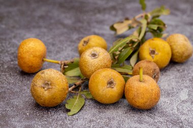 Yabani armut (Pyrus pyraster, pyrus elaeagrifolia, kozalaklı armut olarak da bilinir); Türkçe adı Ahlat armudu