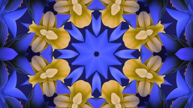 Very nice kaleidoscope images for your design.
