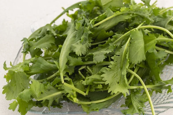 Vegetarian Diet Green Nutrition Concept Cress Plant — Stockfoto