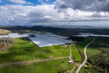 Seralar yukarıdan görünüyor. Sebzeler için uzun seralar - Resim