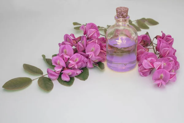 Lilac Colored Acacia Flower Perfume White Background — Stock Photo, Image