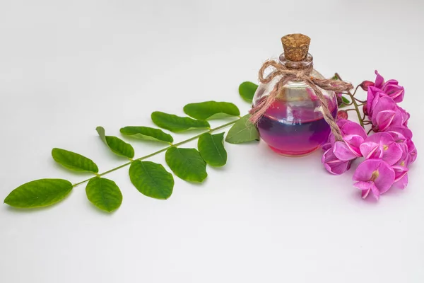 ライラック色のアカシアの花香水 — ストック写真