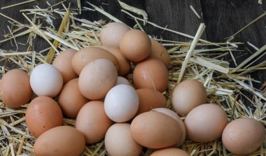 Saman üzerinde doğal köy yumurtaları.