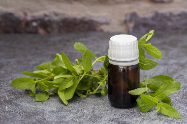 Cam şişedeki nane yağı ve kırsal arka planda taze yeşil nane yaprakları.