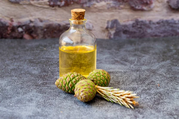 Kışın Aromaterapi Için Odun Kokuları Çam Kozalakları Taze Yeşil Köknar — Stok fotoğraf