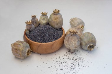 haşhaş tohumları ve haşhaş başlıklı üst görünüm beyaz arkaplanda izole