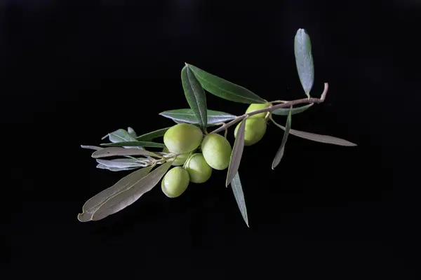 Black Background Oil Olives Table — Stock Photo, Image