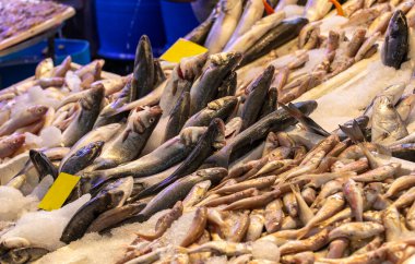 Türkiye - İzmir Kemeralti balık pazarında büyük miktarda taze deniz ürünü