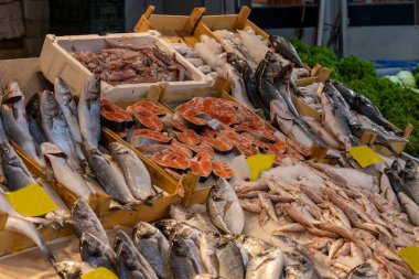 Türkiye - İzmir Kemeralti balık pazarında büyük miktarda taze deniz ürünü