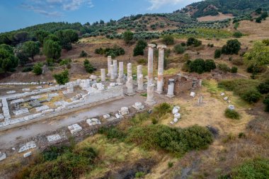Sardis 'teki Artemis Tapınağı, dünyadaki İyonik düzenin dördüncü büyük tapınağı, akropolün batı yamaçlarında, Tmolos Dağı' nın altında yer alan antik bir tapınaktır..