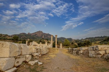 Sardis 'teki Artemis Tapınağı, dünyadaki İyonik düzenin dördüncü büyük tapınağı, akropolün batı yamaçlarında, Tmolos Dağı' nın altında yer alan antik bir tapınaktır..