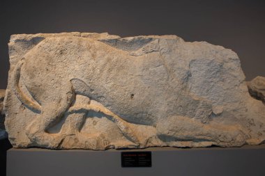 24 Ekim 2023, Antalya: Antalya Arkeoloji Müzesi galerisinde antik Perge şehrinin kazıları sırasında aslan frizmesi parçası bulundu.