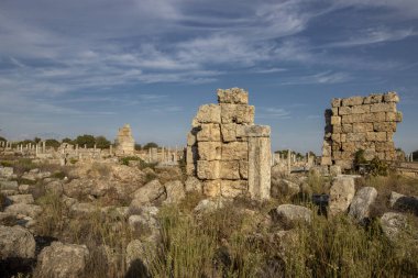 Türkiye 'nin Antalya ilinin Perge (Perga) kentinde bulunan nemfomanın (nymphaion) manzaralı kalıntıları. Antik Yunan şehrinin muhteşem manzarası. Perge Türkiye 'de popüler bir turizm beldesi.
