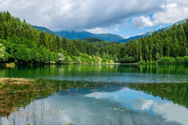 Türkiye - Artvin - savsat - Karagol, Sahara Milli Parkı. Karadeniz bölgesinde yer almaktadır.