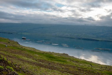 İzlanda Faroe Adaları, körfezdeki balık çiftlikleri. .