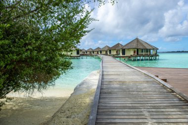 Uzun palmiye ağaçları ve okyanusla sahil manzarası. Beyaz kum. Parlak tropikal yaz güneşi ve açık bulutlu mavi gökyüzü. Geniş biçim.