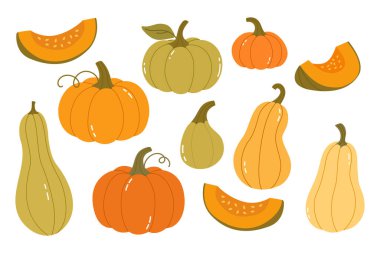 Değişik renk ve şekillerde kabak ve kabakların canlı vektör çizimi, sonbahar için mükemmel, hasat projeleri, mevsimlik tasarımlar ve şenlikli dekorasyonlar