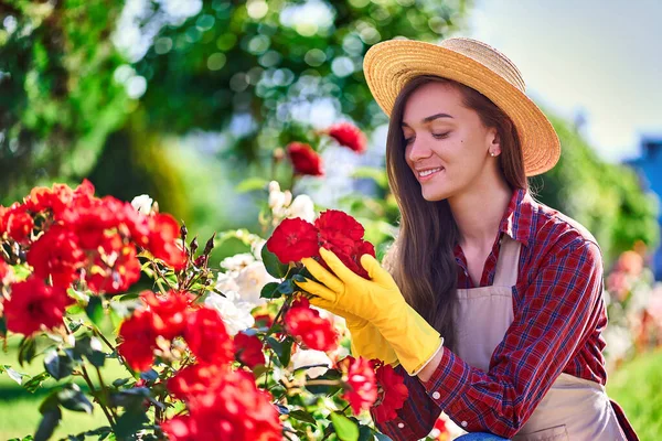 魅力的な若い幸せな陽気な女性の庭師の肖像画わら帽子 エプロン 日当たりの良い日に自宅の庭でバラの茂みと黄色のゴム手袋 — ストック写真