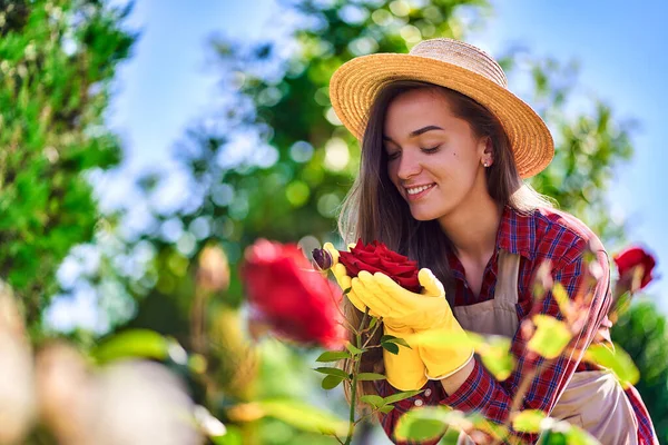 藁帽子 エプロン 黄色のゴム手袋の魅力的な幸せな笑顔の女性の庭師は匂いを嗅ぎ 晴れた日に自宅の庭でバラの花の香りを楽しむ — ストック写真